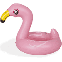 Zwemband flamingo
